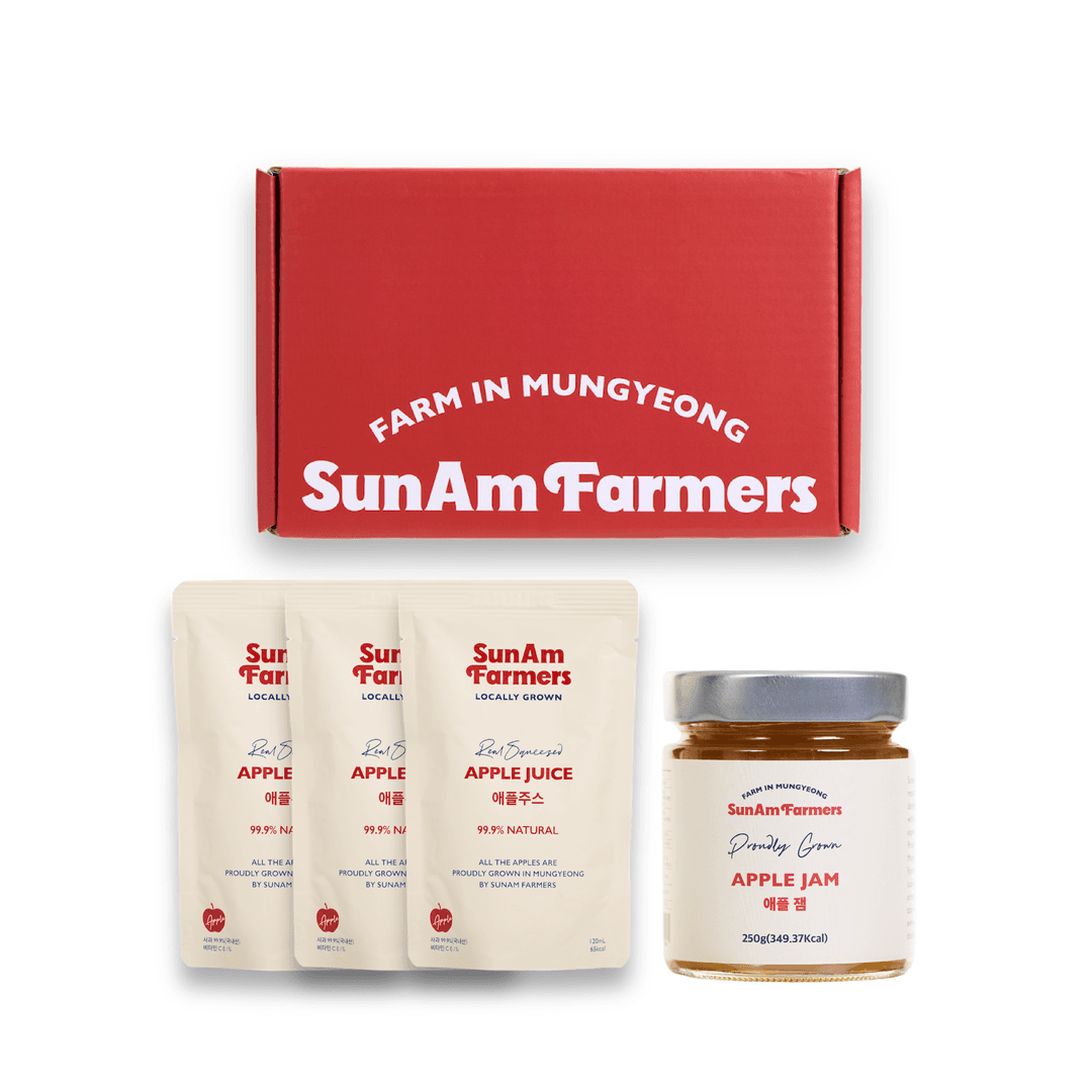 기프트 애플 박스 3종