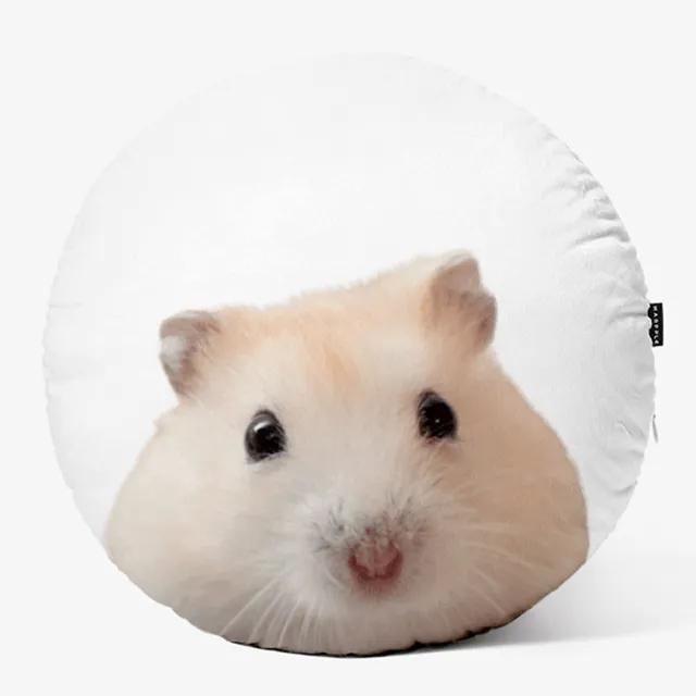 뭘뵤시죠 햄스터 원형 쿠션 벨보아방석