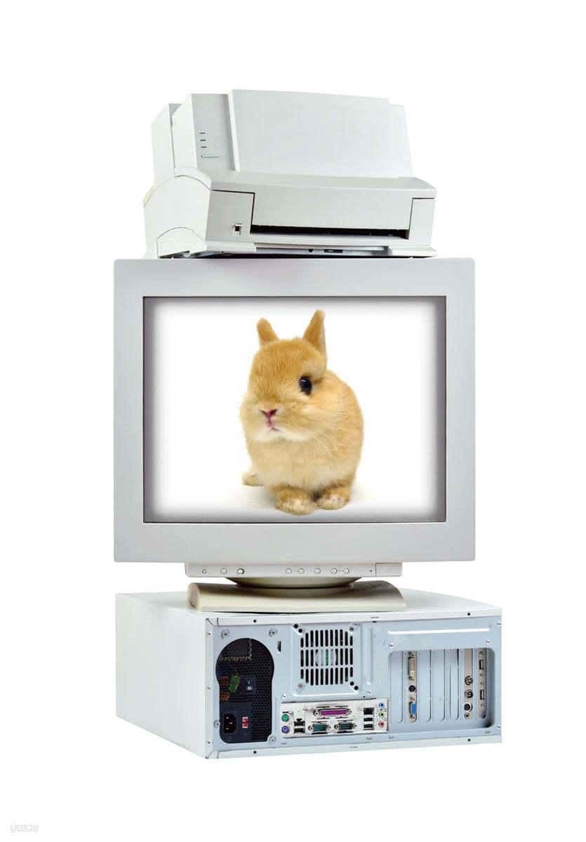 시간을 거슬러 간 나비 - 예스24