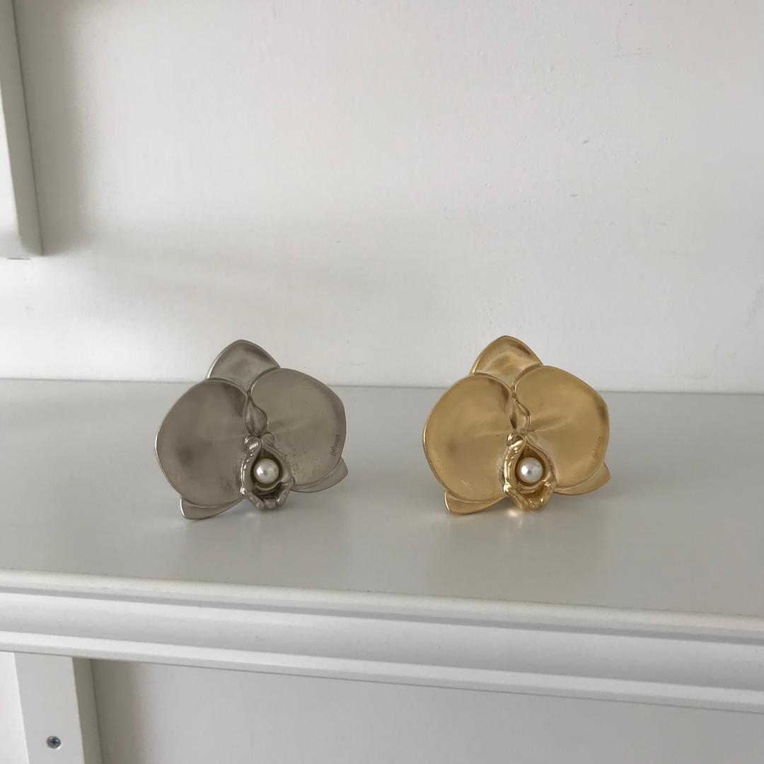 silver phalaenopsis tok