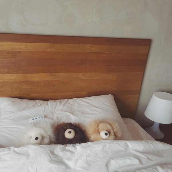 Sustainable Alpaca Bear from Peru