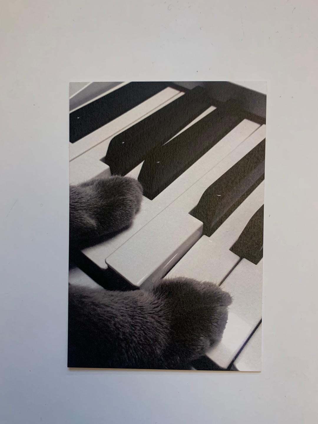 [Postcard] Cat Bebob