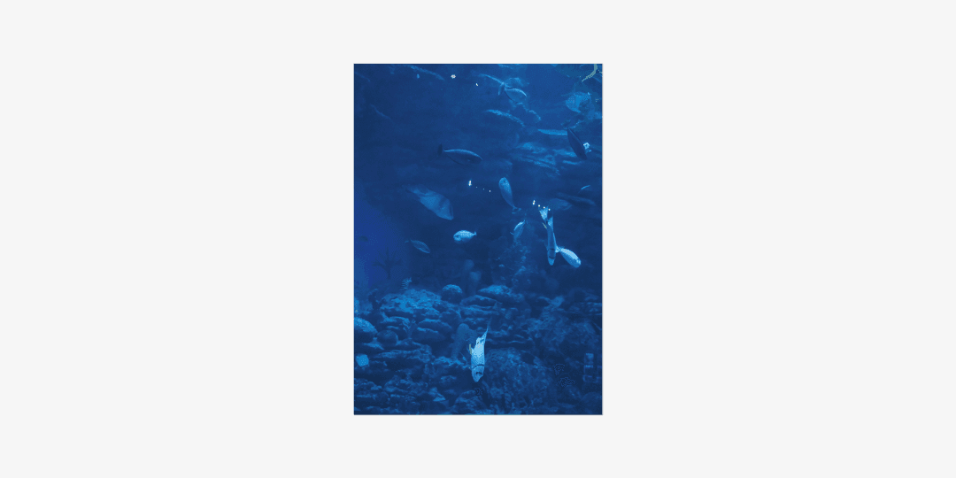 poster 06 A3 size