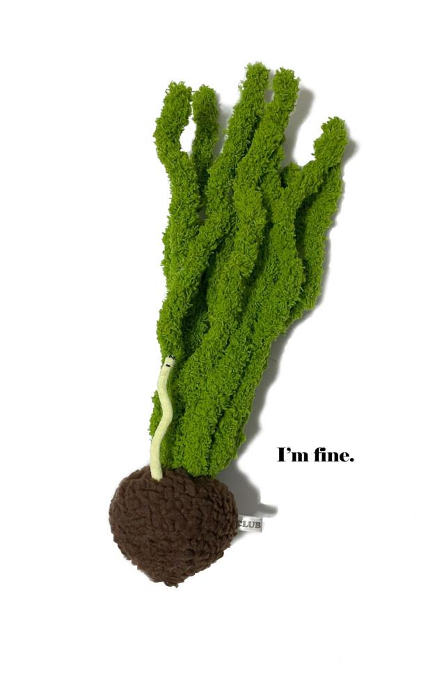 I'm fine + Pot (M Size)