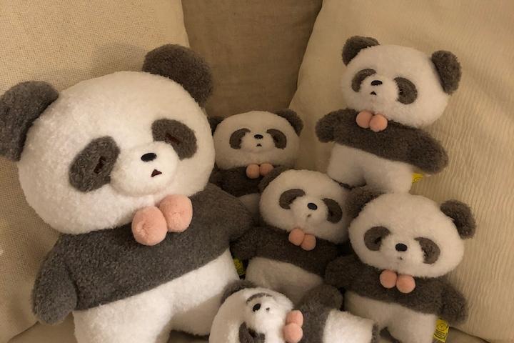 폭신폭신 탓똔 - 졸린얼굴 팬더