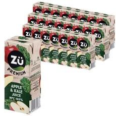 주 프리미엄 착즙 사과케일주스  24개, 200ml