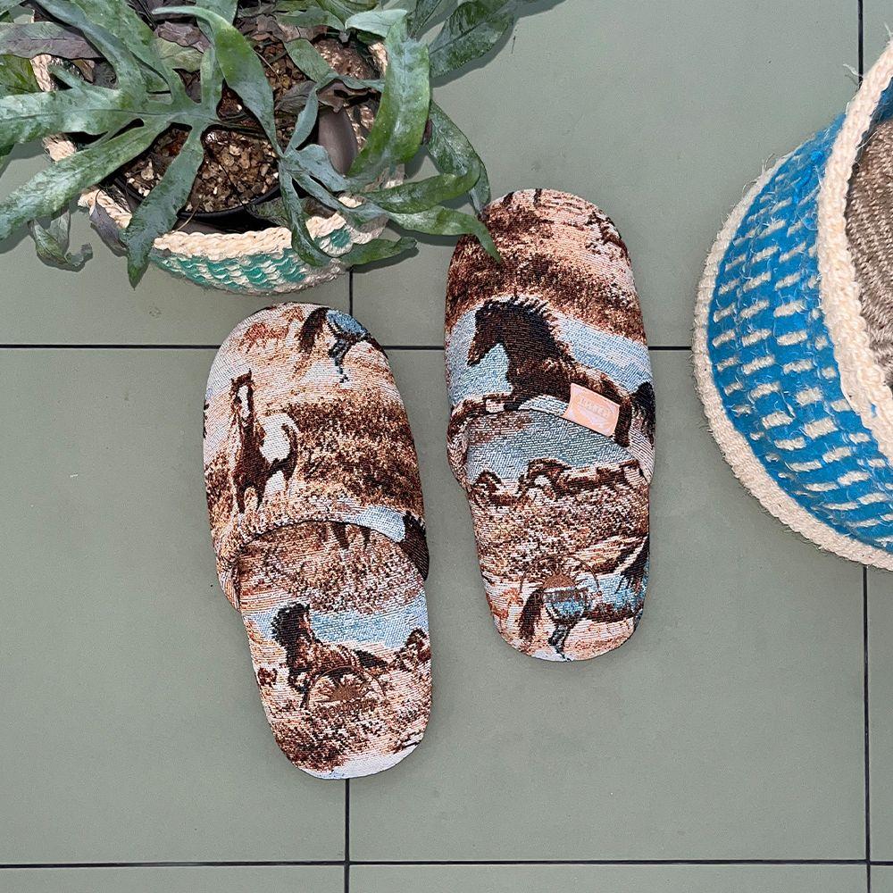 Wild Horse Room Shoes