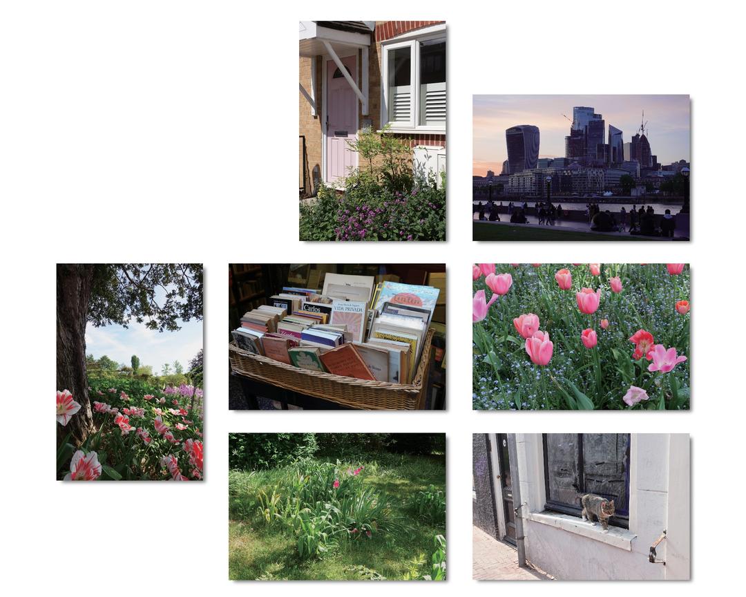 postcard * no. 22-28