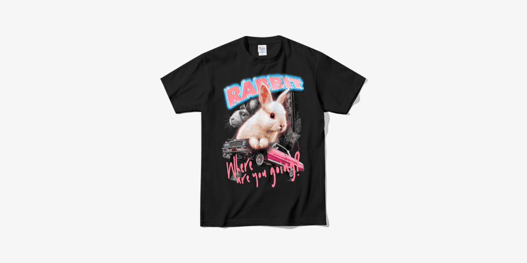 어디를가느냐 소프트