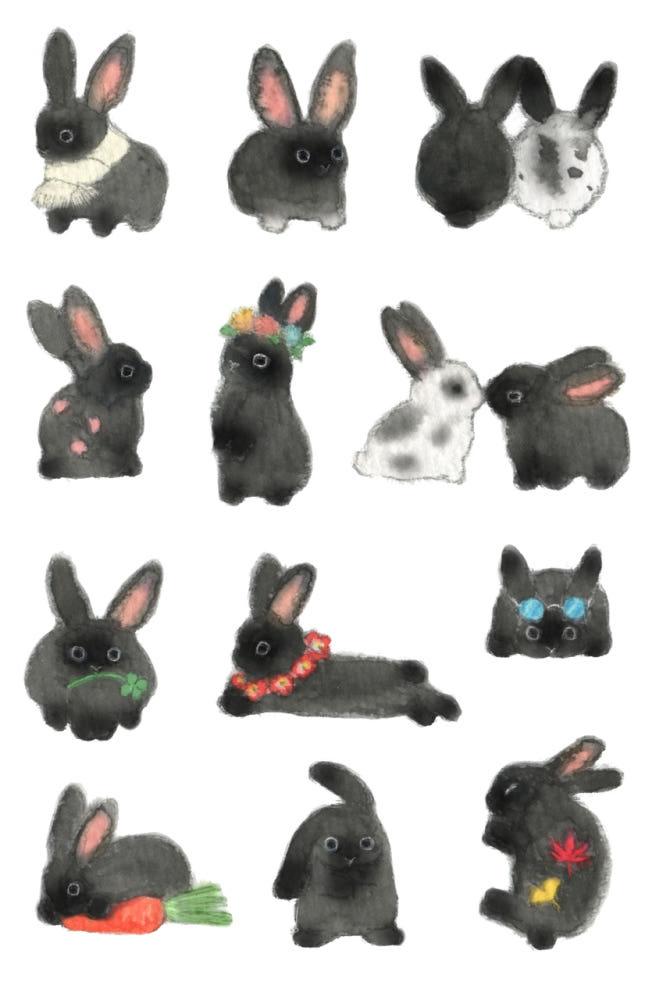 까망토끼 스티커