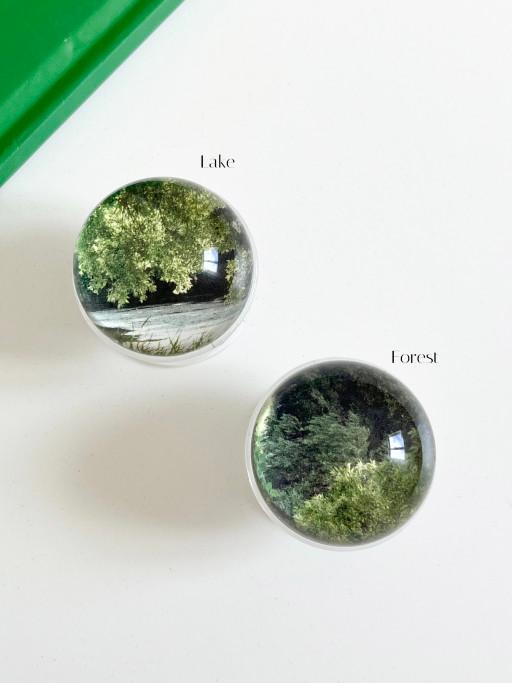 Forest & Lake 그립톡