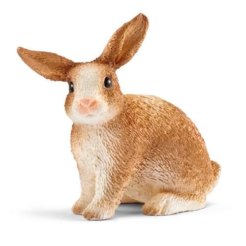 [슐라이히] [슐라이히_공식]토끼