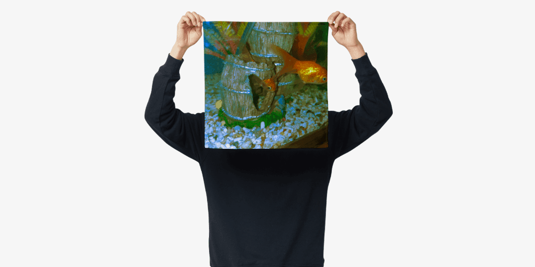 금붕어 패브릭 포스터