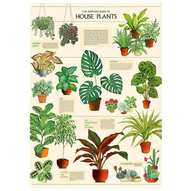 [카발리니][CAVALLINI] WRAP/POSTER - HOUSE PLANTS / 카발리니 포스터 (50x70)