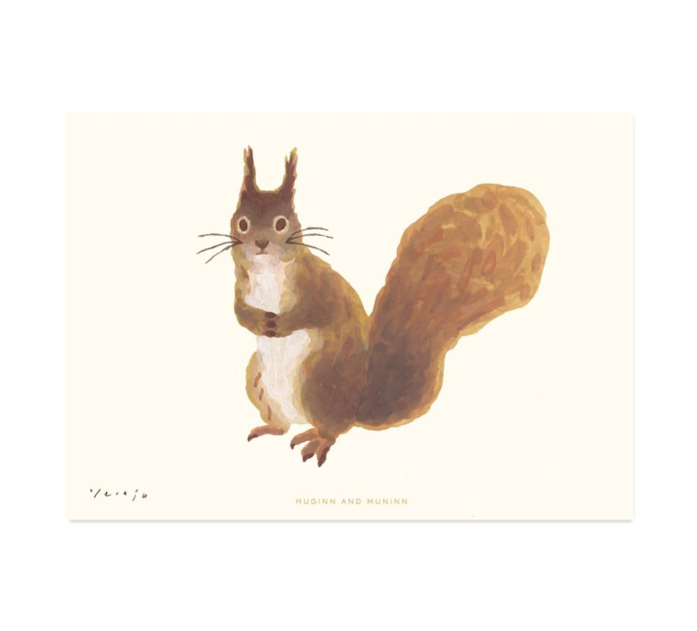 Squirrel - Drawing card
