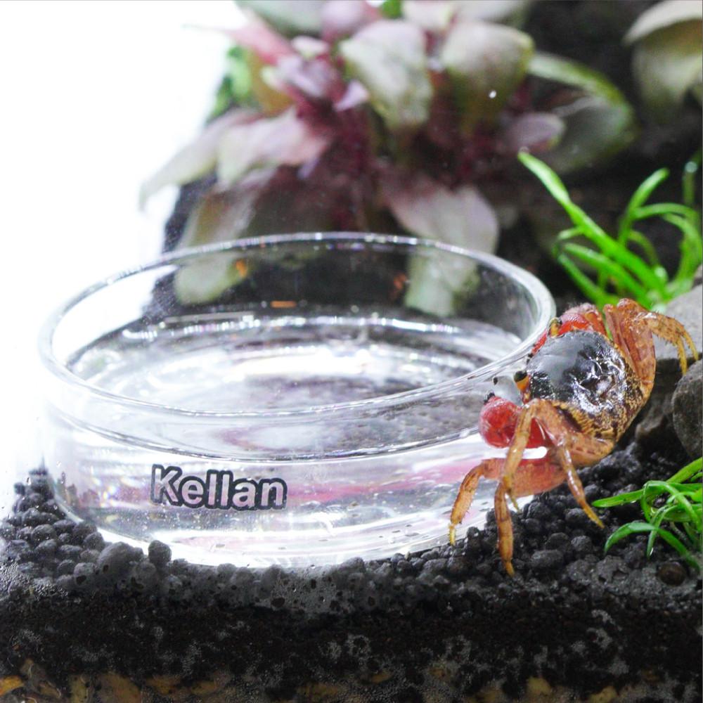 다용도 유리 먹이 물그릇 피딩컵