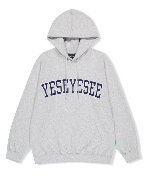 Arch Logo Hoodie Grey