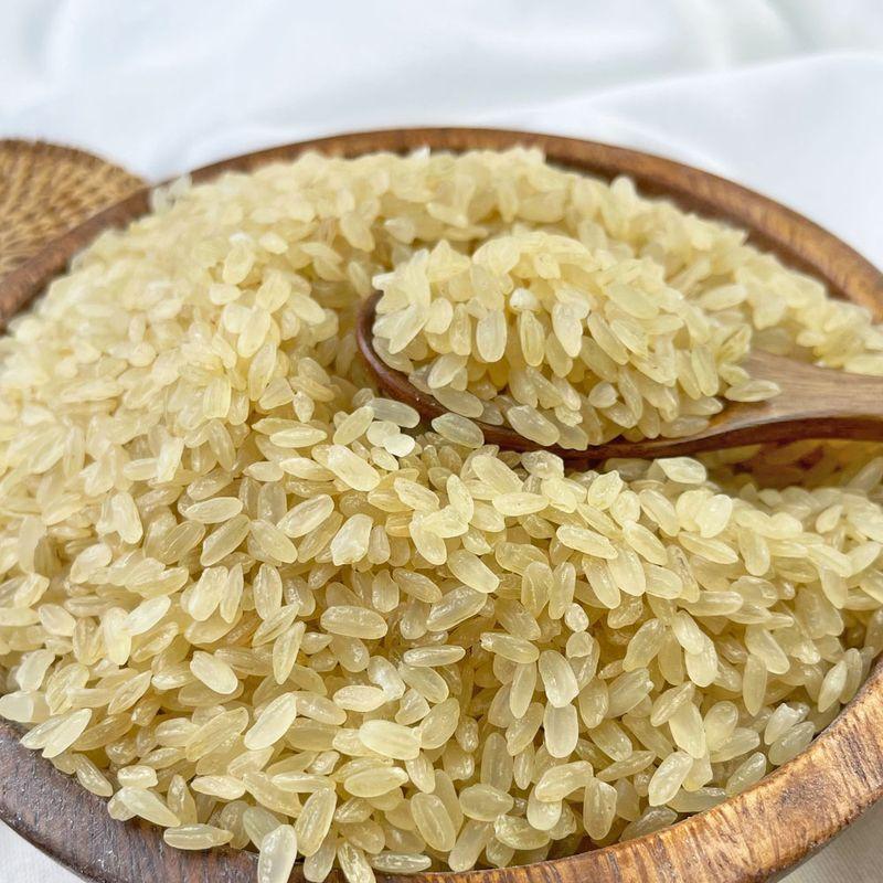 [힘찬농부오달봉] 2023년산 국산 찹쌀찐쌀 500g~10kg