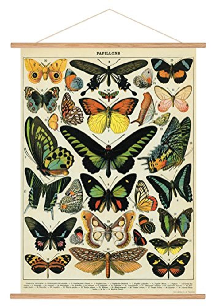 카발리니 빈티지 Butterflies Hanging 포스터 키트 일러스트 문구