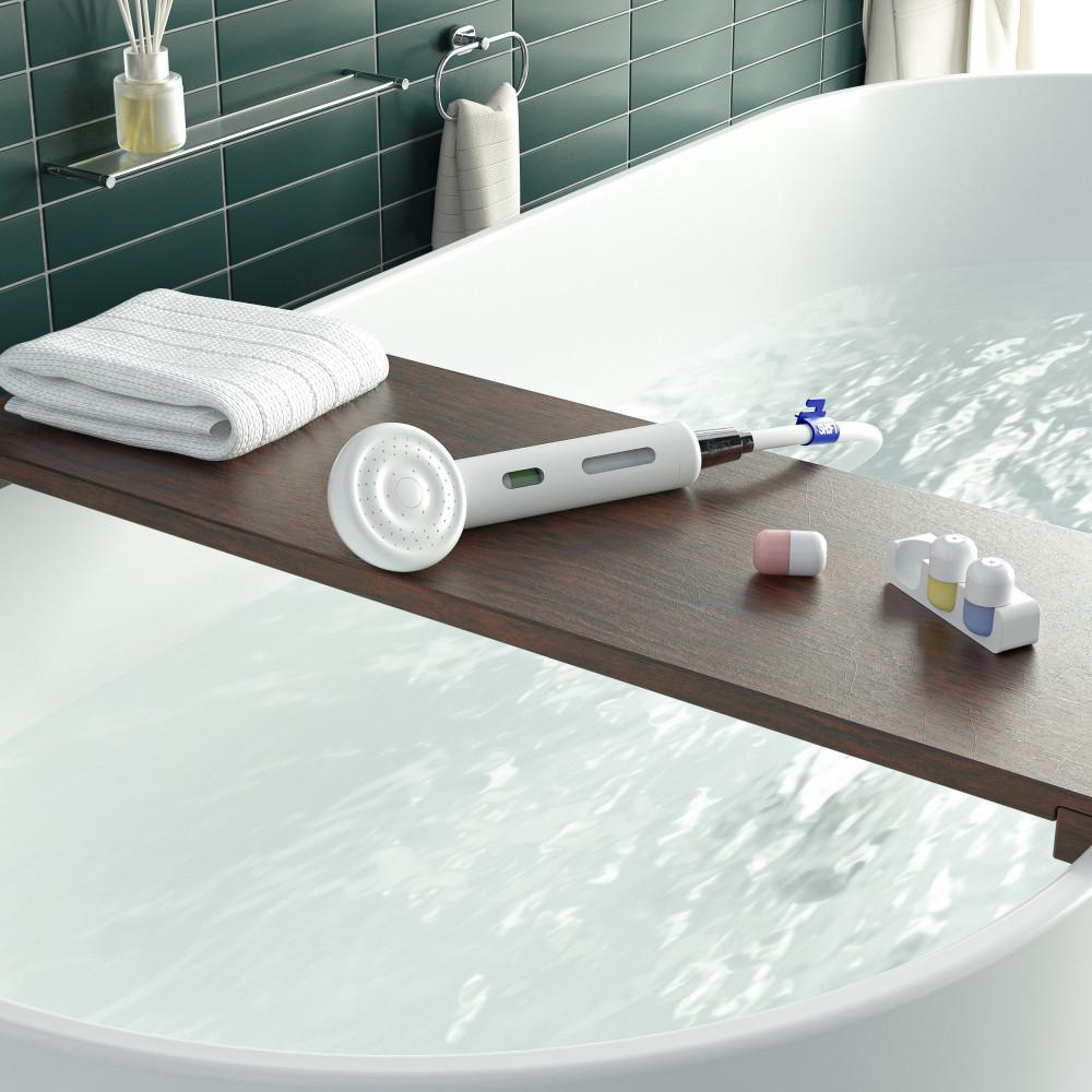 [시프트]네이버 단독 입문 세트(샤워기+필터+진저&베르가못 향기 캡슐 3개)