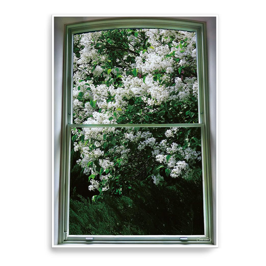 white flower 화이트 플라워 파리정원 포스터