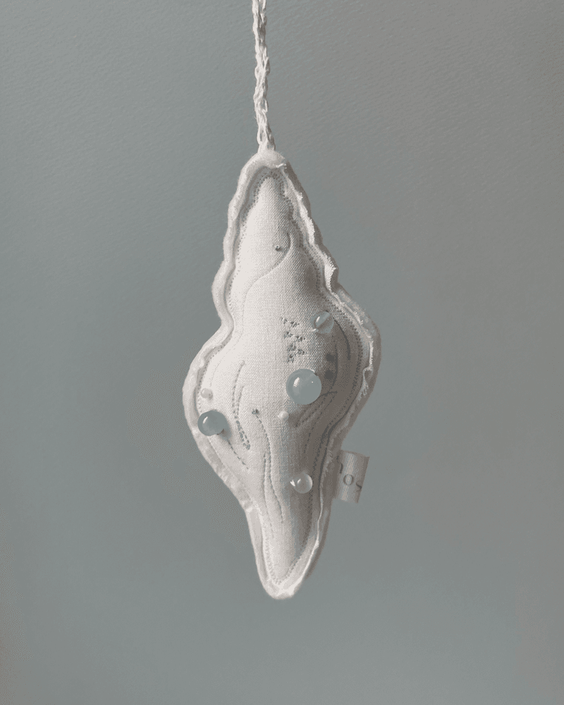 Soft shell 소프트쉘 참