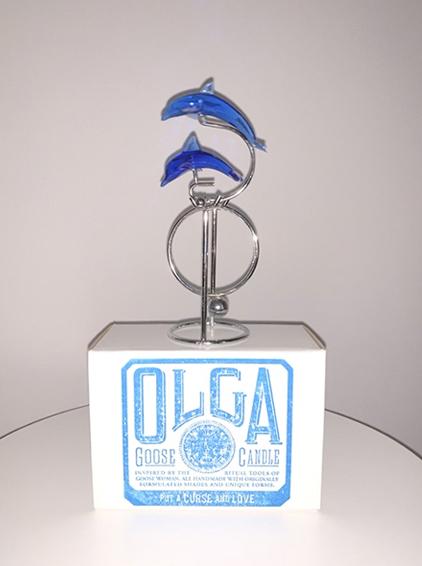 dolphin family