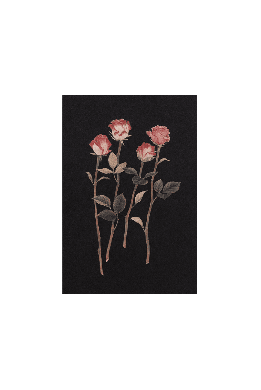 Post Card Rose