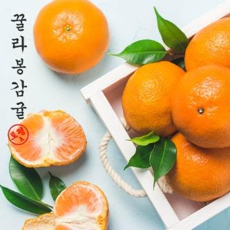 꿀라봉 조생귤 노지감귤 5kg(제주산)