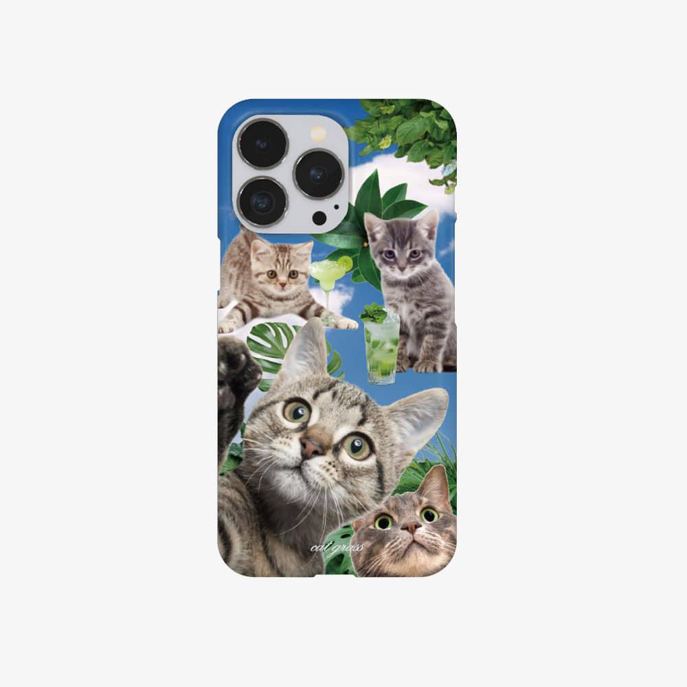 하드케이스 캣그라스