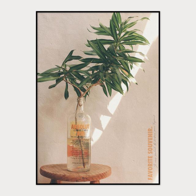 Favorite souvenir 식물 빛 자연 나무 감성 카페 인테리어 포스터