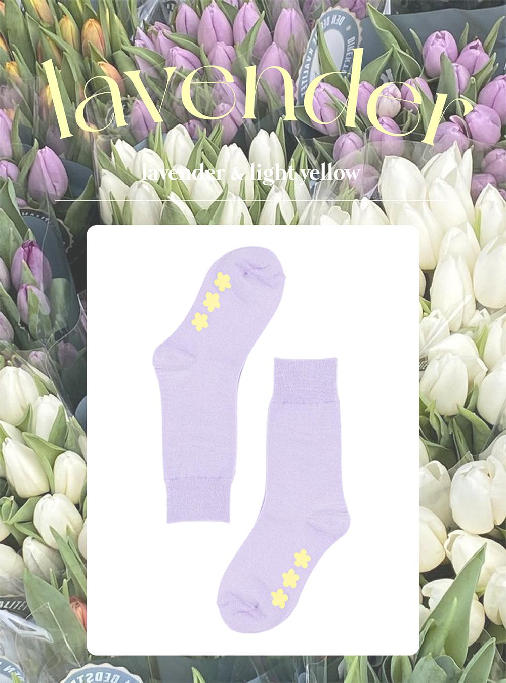 pick your color! _ lavender