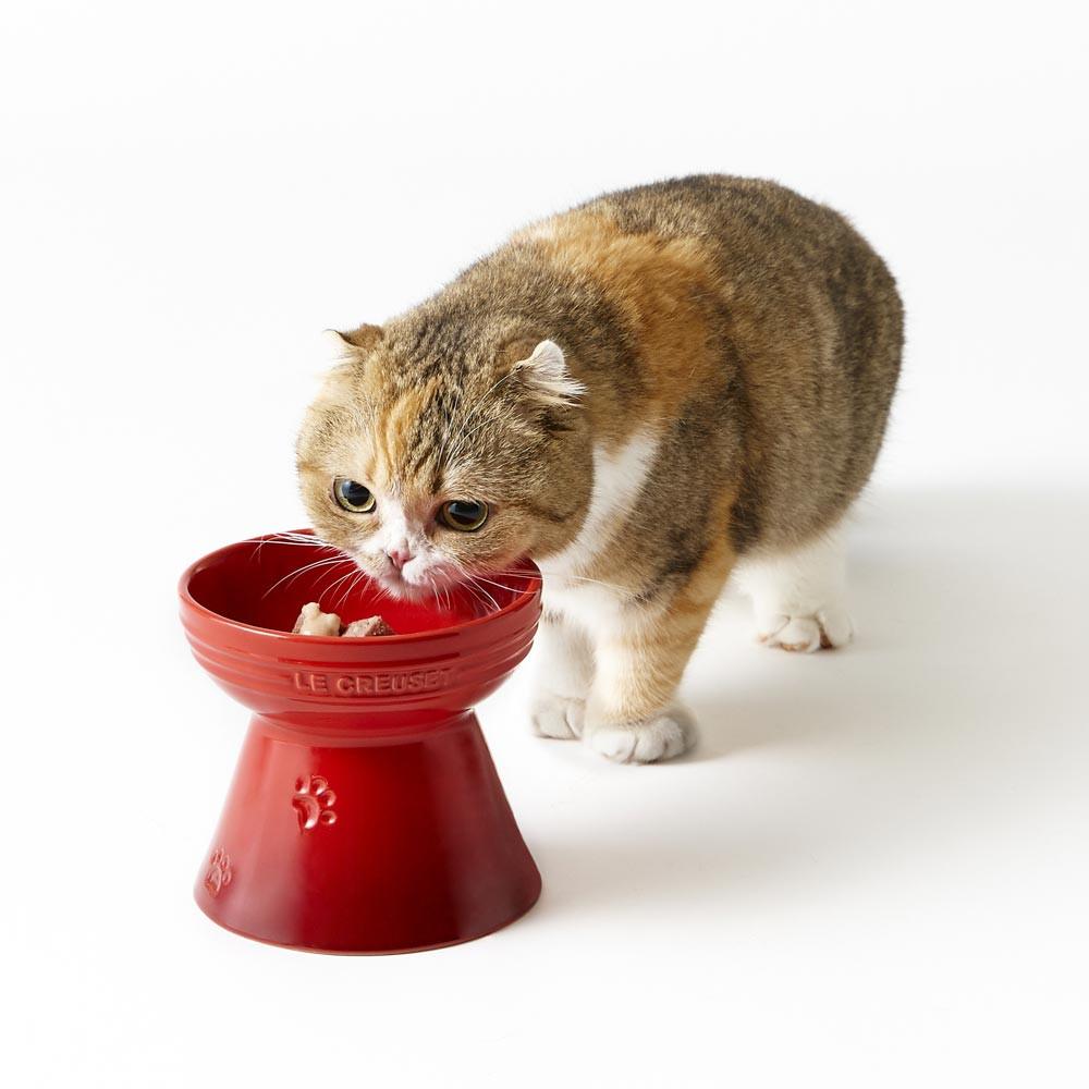 르크루제 반려동물 하이스탠드 식기