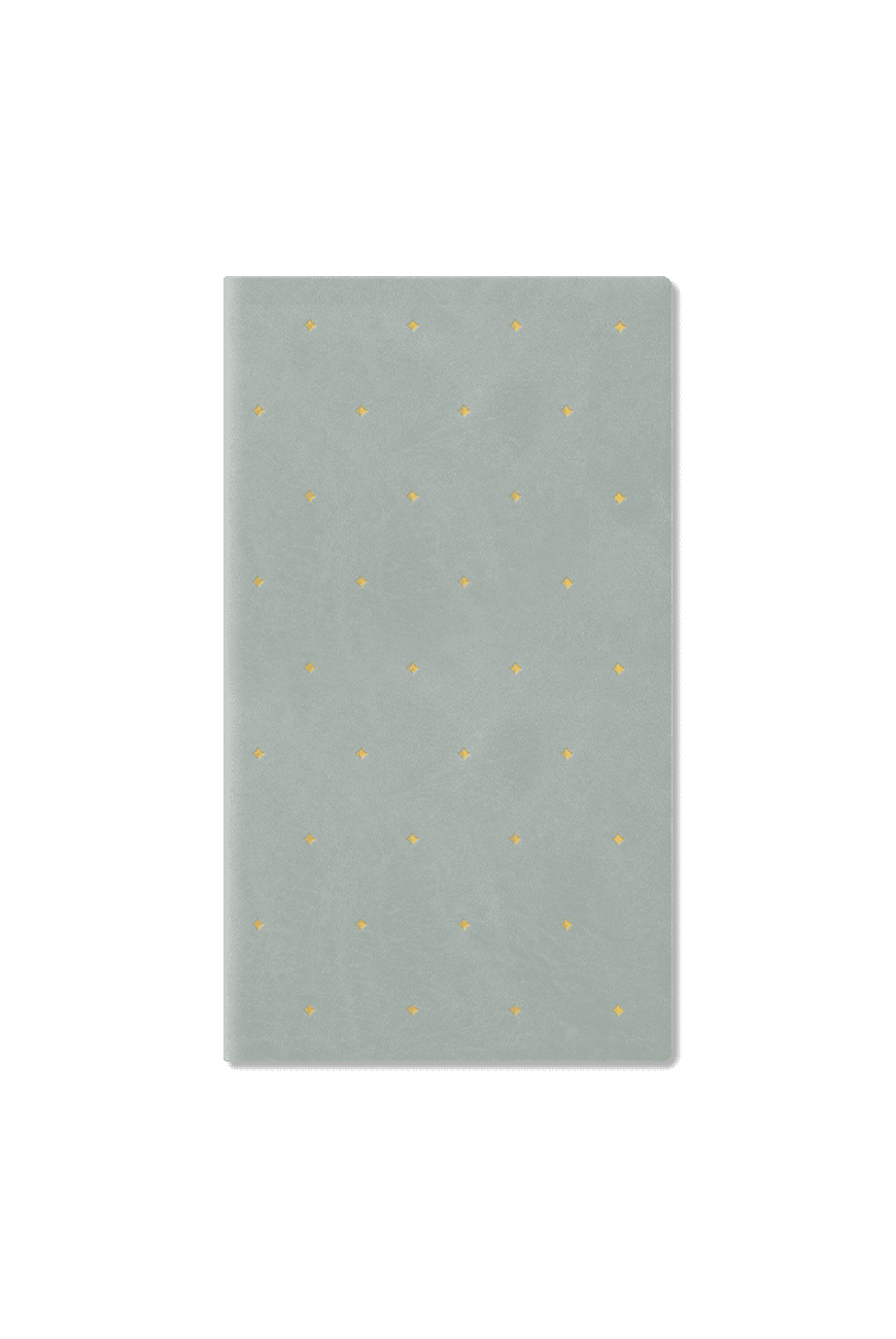 다이어리 2026 Professional Diary PRD Slim - Weekly Vertical Star