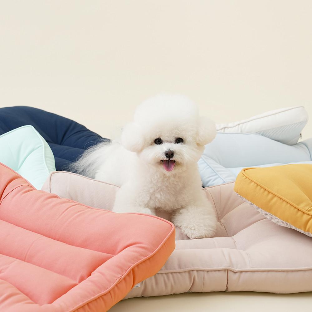 강아지방석 애견 쿠션 켄넬 마약 고양이 컬러풀 탄탄이 베개일체형