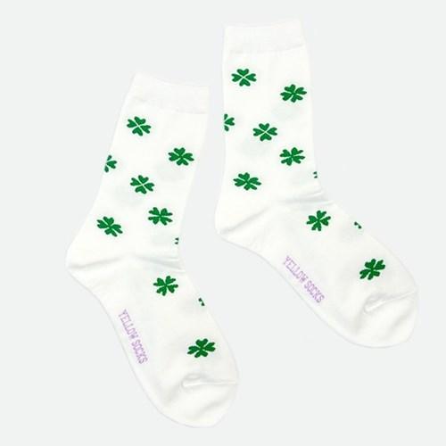 CLOVER WHITE 클로버 화이트