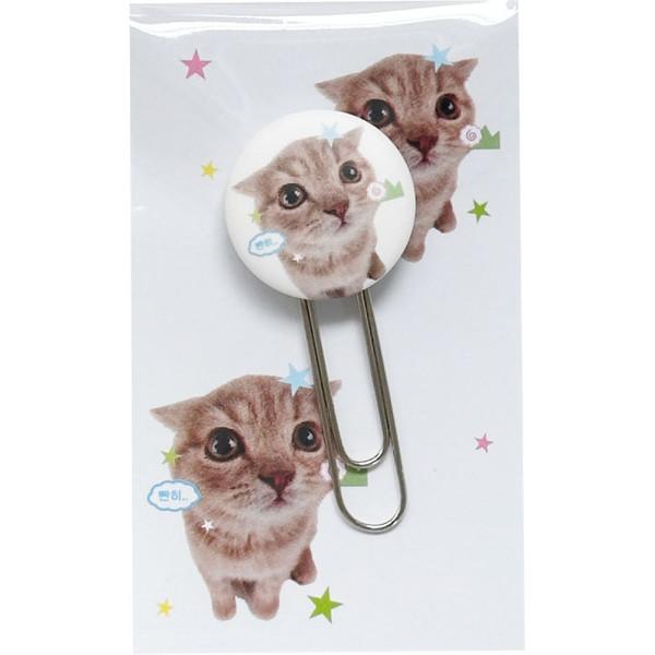 [클립]고양이 클립