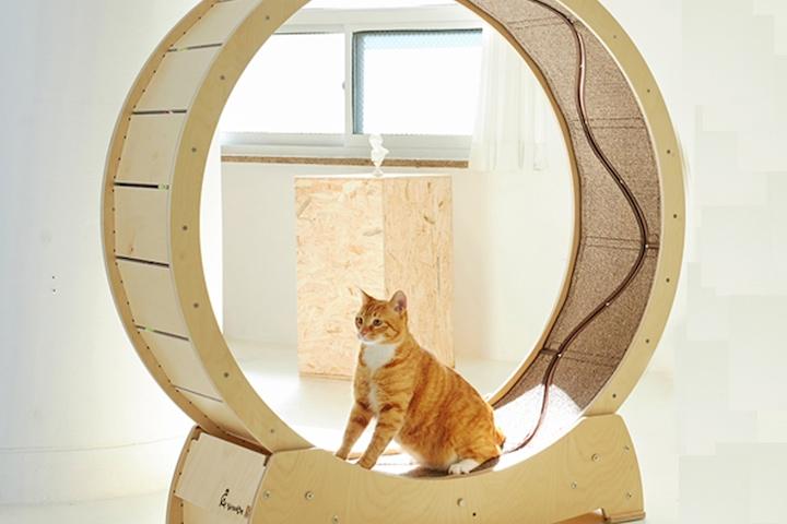 스타캣휠 1060 고양이 저소음 캣휠