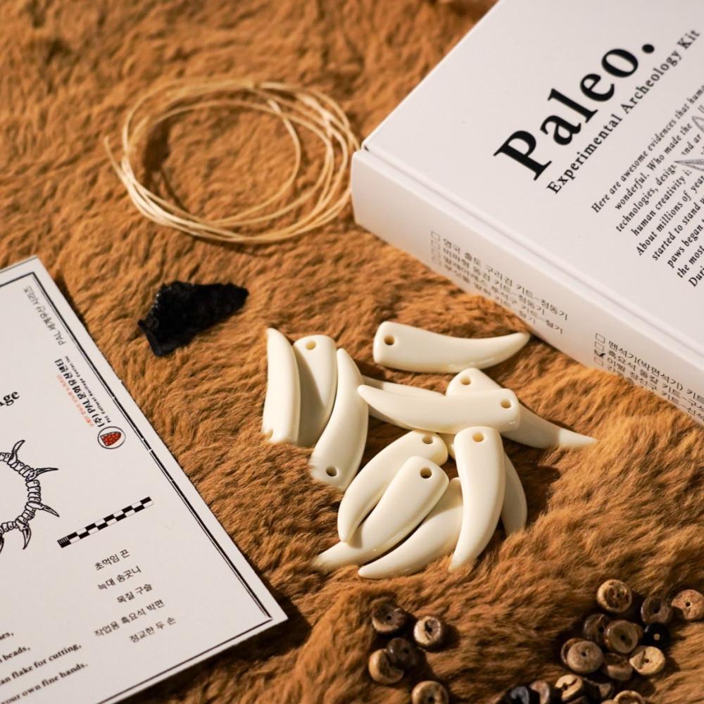 [신석기] 선사시대 장신구 실험 고고학 체험 키트 PALEO