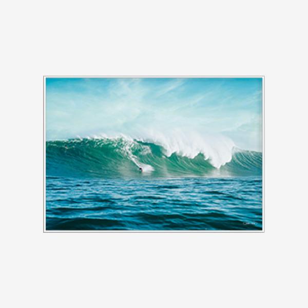 JANDICREW | Surfing Point