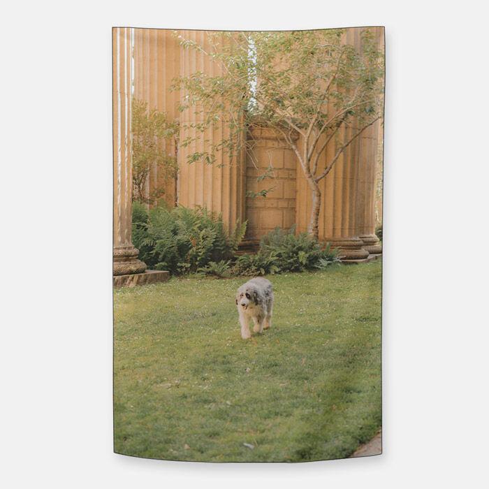 아르케 작가, I won't leave you. 쉬폰 패브릭 포스터