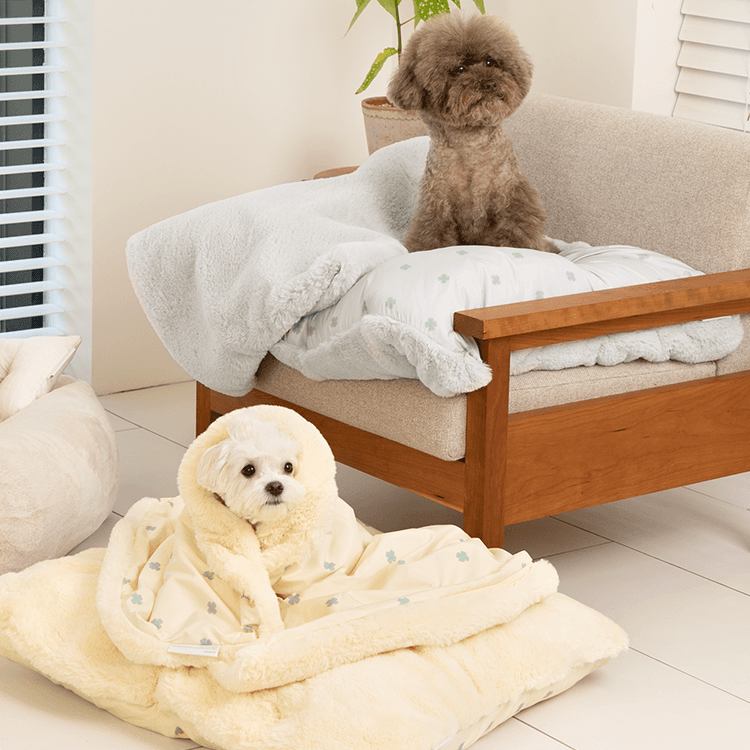 엘르독 '쿠션+담요' 쿠담이 22'FW