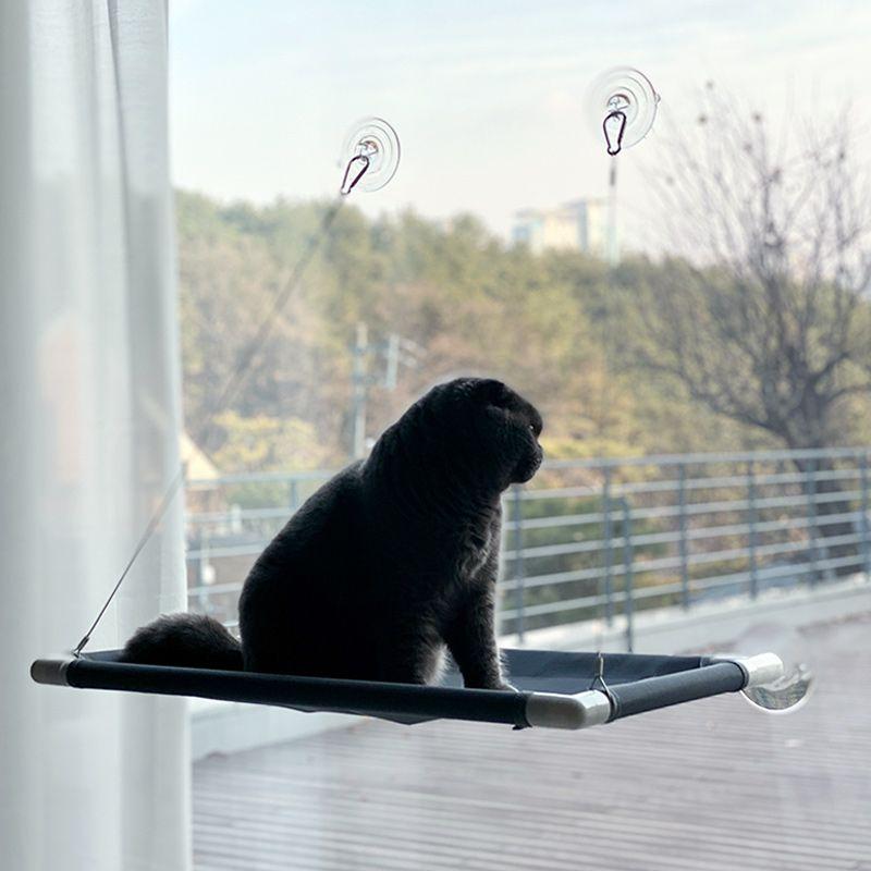 그레이독 윈도우 해먹 그레이