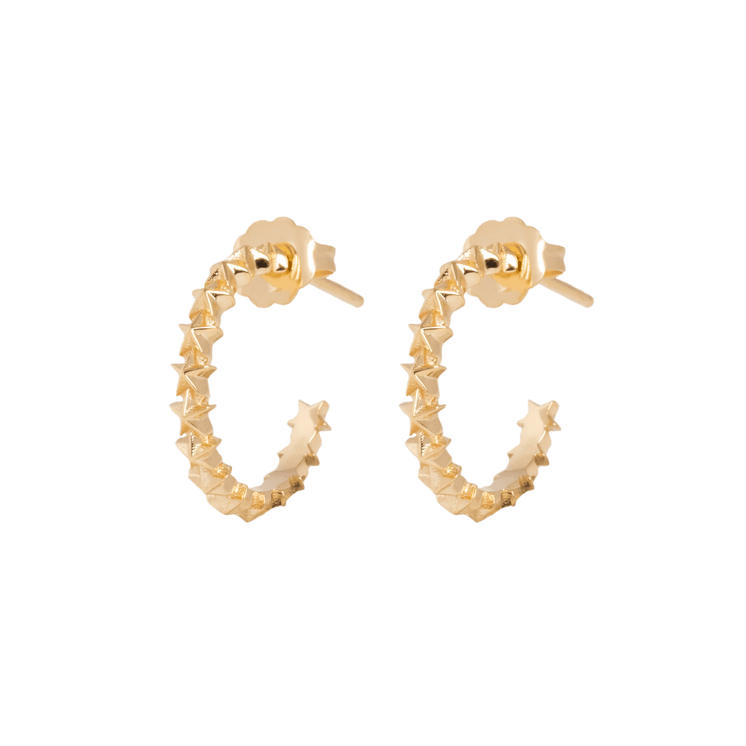 10K Gold Super Micro Star Earrings