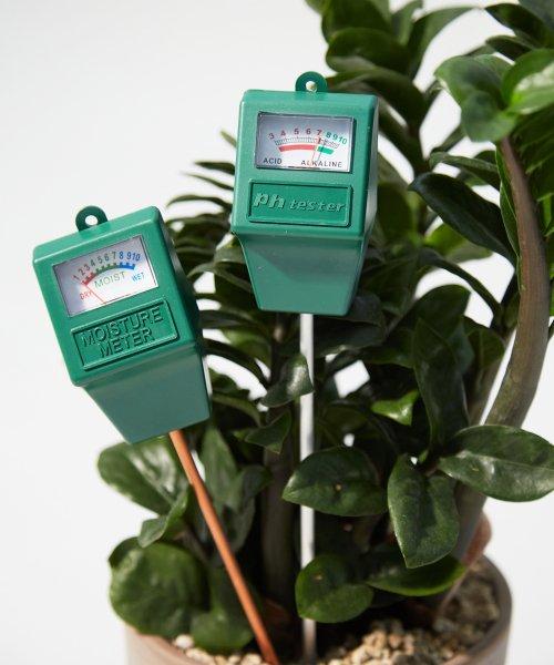 KENSIZER PH/Moisture Tester - Green 토양 PH/습도계 SSGPXX111E2