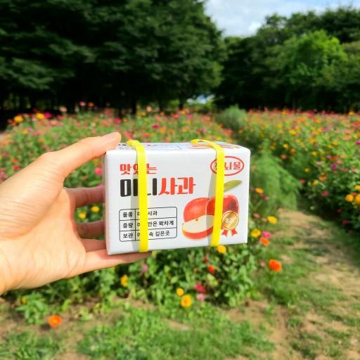 (1+1) 미니 과일뇌물 용돈박스1탄 미니어쳐set