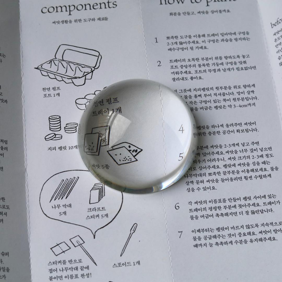 문진 : 투명한 [clear]