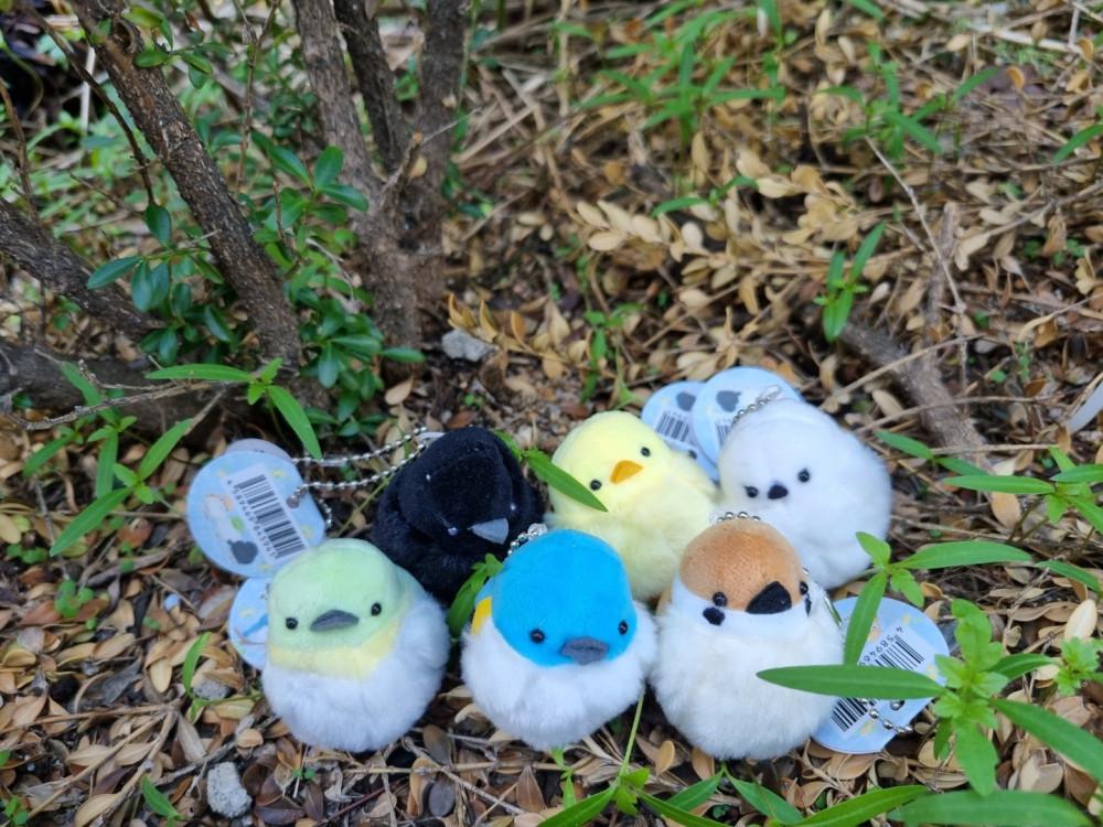 몽실몽실 아기새 인형 키링 에어팟 자동차 차 키링 선물