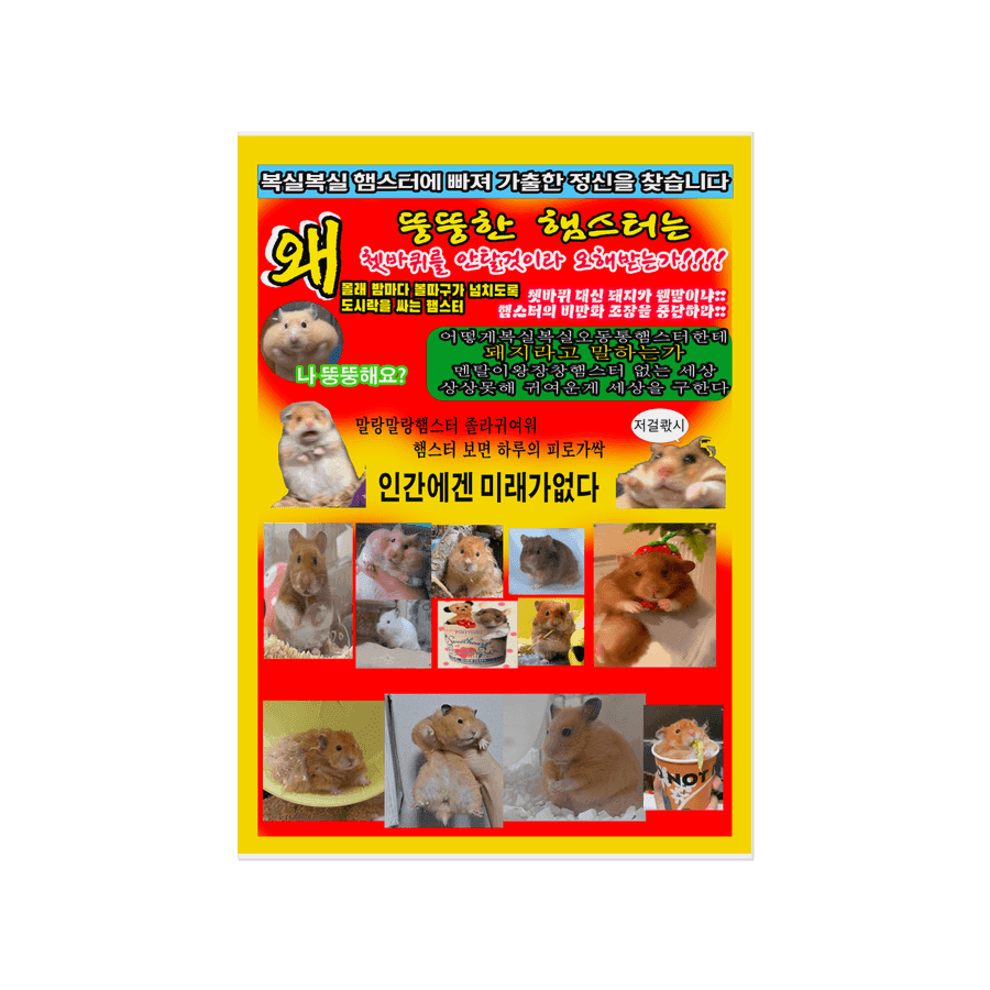 jindadori 햄스터 광인 - A3 ㅣ 마플샵