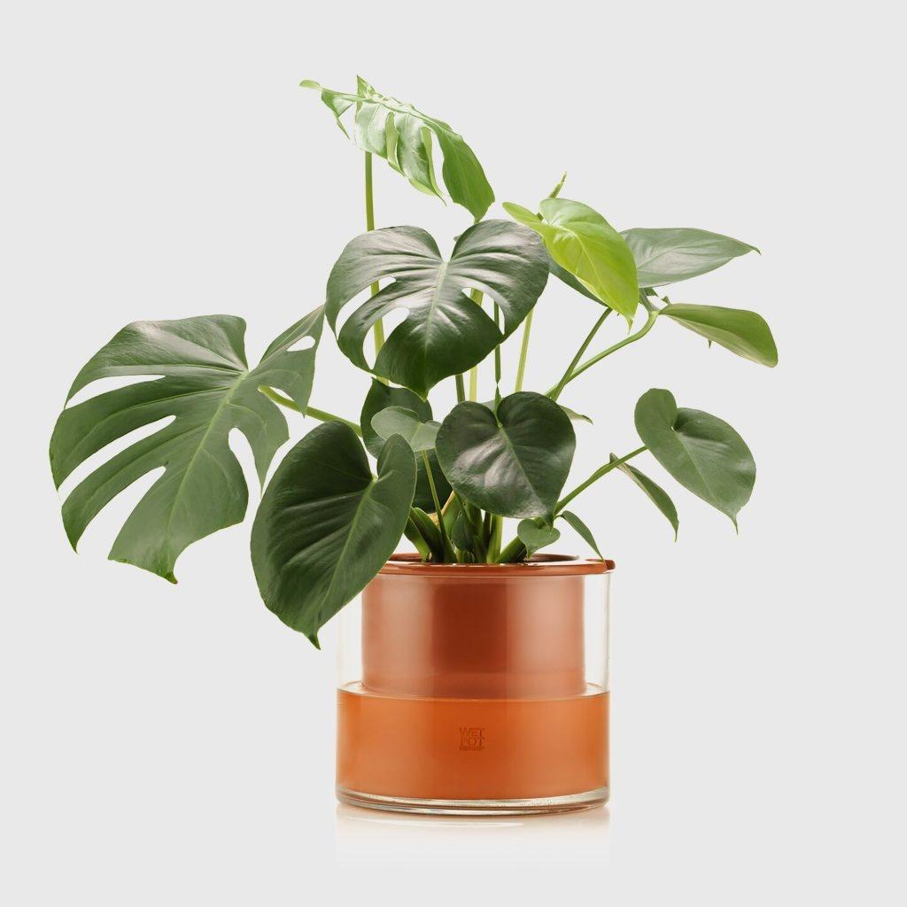 WET POT SYSTEMS - self watering planter
